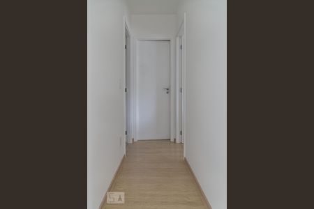Corredor de apartamento para alugar com 2 quartos, 76m² em Vila Guarani, São Paulo