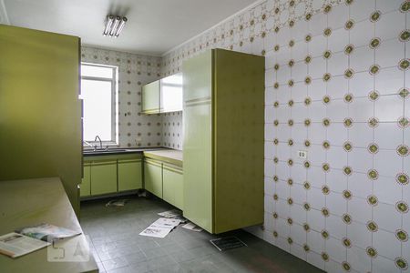 Apartamento para alugar com 260m², 2 quartos e 2 vagas Apartamento para alugar com 260m², 2 quartos e 2 vagasCozinha