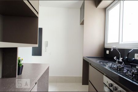 Cozinha de apartamento para alugar com 1 quarto, 52m² em Cambuí, Campinas