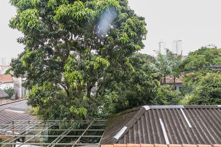 Apartamento para alugar com 48m², 1 quarto e sem vagaVista