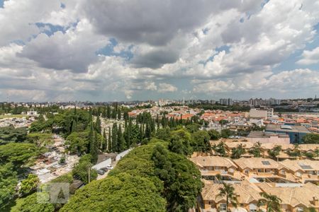 Vista de apartamento para alugar com 3 quartos, 80m² em São José, São Caetano do Sul