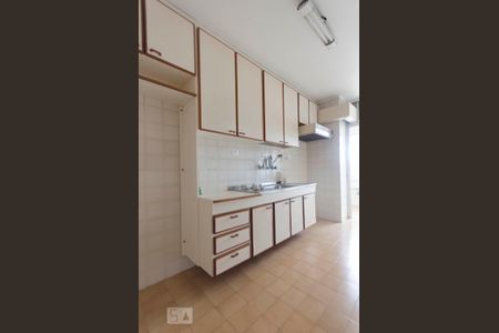 Cozinha de apartamento para alugar com 3 quartos, 74m² em Vila Ipojuca, São Paulo