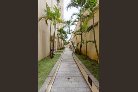 Área comum de apartamento para alugar com 3 quartos, 74m² em Vila Ipojuca, São Paulo