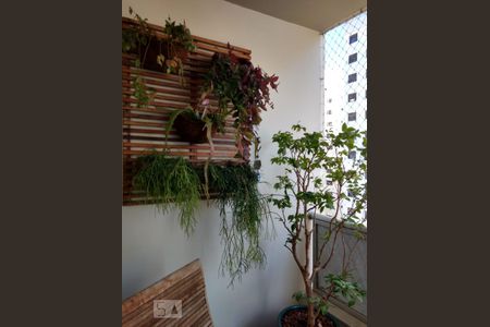 Varanda de apartamento para alugar com 1 quarto, 56m² em Sumarezinho, São Paulo