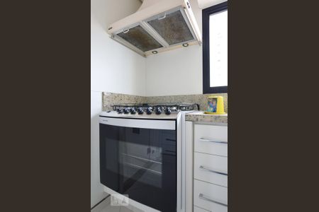 Apartamento para alugar com 280m², 4 quartos e 3 vagas Apartamento para alugar com 280m², 4 quartos e 3 vagas1o. Andar - Cozinha (Fogão)