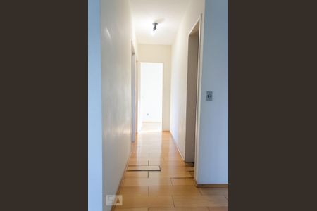 Corredor de apartamento para alugar com 3 quartos, 67m² em Vila Industrial, Campinas