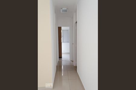 Corredor de apartamento para alugar com 2 quartos, 55m² em Jardim Dom Vieira, Campinas