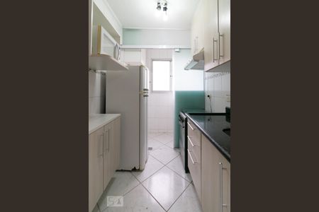 Cozinha de apartamento para alugar com 2 quartos, 53m² em Aclimação, São Paulo