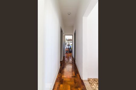 Corredor de apartamento para alugar com 3 quartos, 92m² em Vila Cláudia, São Paulo