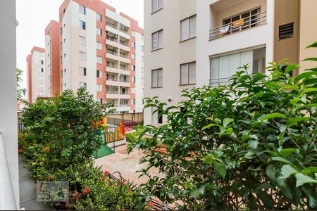 Vista de apartamento para alugar com 3 quartos, 80m² em Chácara Primavera, Campinas