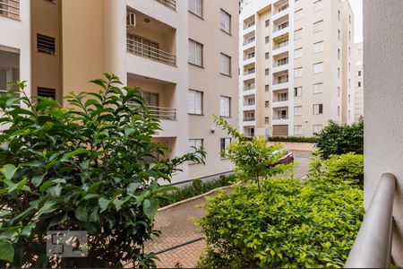 Vista de apartamento para alugar com 3 quartos, 80m² em Chácara Primavera, Campinas