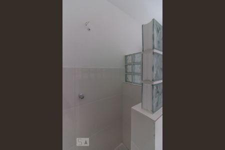 Banheiro de apartamento para alugar com 2 quartos, 80m² em Cambuci, São Paulo