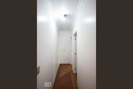 Corredor de apartamento para alugar com 3 quartos, 125m² em Vila Suzana, São Paulo