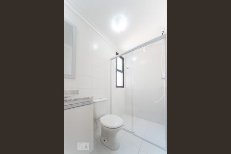 Banheiro de apartamento para alugar com 3 quartos, 80m² em Vila Floresta, Santo André