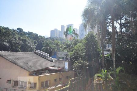vista de apartamento para alugar com 1 quarto, 35m² em Vila Suzana, São Paulo