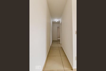 Corredor de apartamento para alugar com 2 quartos, 63m² em Parque Brasília, Campinas