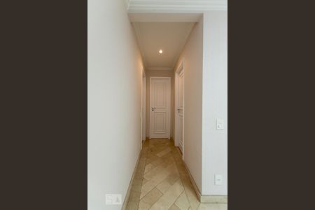 Corredor de apartamento para alugar com 2 quartos, 70m² em Vila Ipojuca, São Paulo