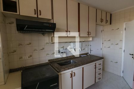 Cozinha - Armários de apartamento à venda com 3 quartos, 120m² em Vila Mascote, São Paulo