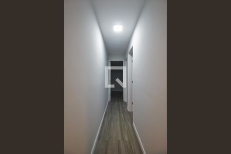 Corredor de apartamento para alugar com 2 quartos, 50m² em Jardim Ampliação, São Paulo
