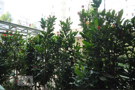 Apartamento à venda com 3 quartos, 63m² em Jardim das Vertentes, São Paulo