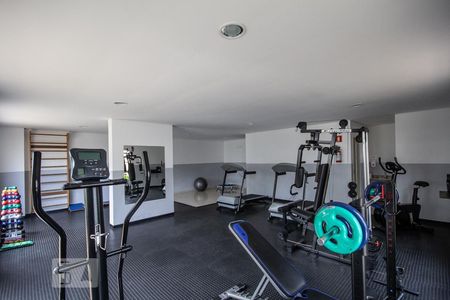 Apartamento para alugar com 60m², 2 quartos e 1 vaga Apartamento para alugar com 60m², 2 quartos e 1 vagaFitness