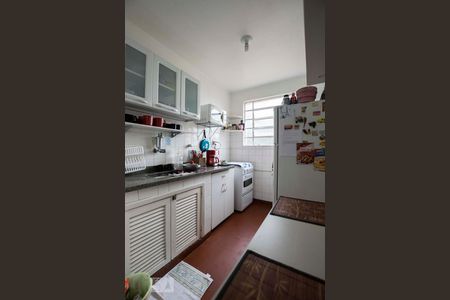 Cozinha de apartamento para alugar com 1 quarto, 48m² em Cambuci, São Paulo