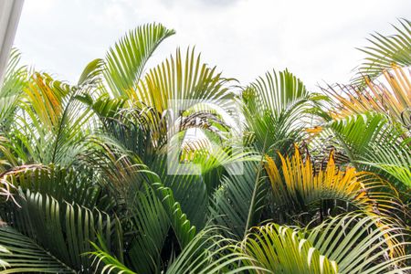 Casa de condomínio à venda com 400m², 4 quartos e 3 vagasVista