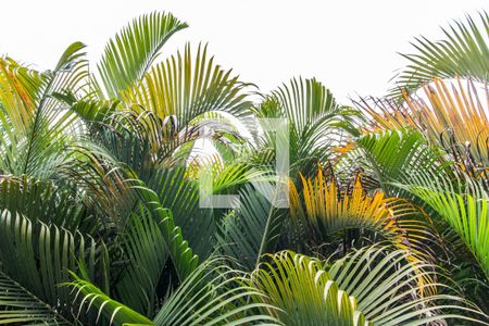 Casa de condomínio à venda com 400m², 4 quartos e 3 vagasVista