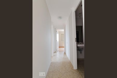 Corredor de apartamento para alugar com 3 quartos, 80m² em Nova Campinas, Campinas