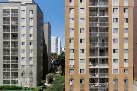 Vista de apartamento para alugar com 2 quartos, 47m² em Cambuci, São Paulo
