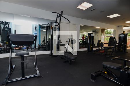 Apartamento à venda com 53m², 2 quartos e 1 vagaÁrea comum - Academia