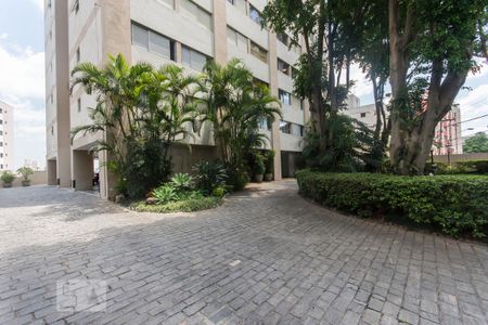 Fachada de apartamento para alugar com 3 quartos, 101m² em Sumarezinho, São Paulo
