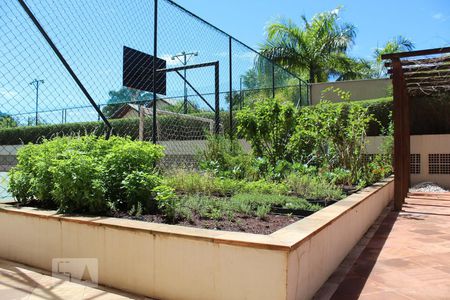 Apartamento para alugar com 107m², 2 quartos e 2 vagas Apartamento para alugar com 107m², 2 quartos e 2 vagasHorta comunitária