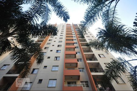 Apartamento para alugar com 50m², 2 quartos e 1 vagafachada