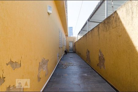 Área externa de casa para alugar com 1 quarto, 167m² em Jardim Guanabara, Campinas