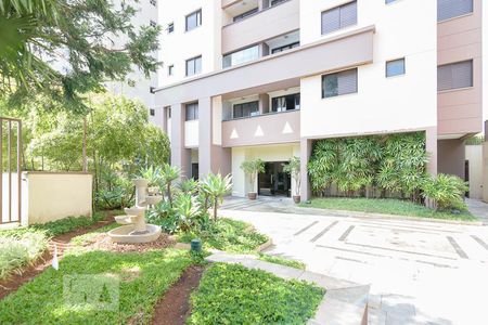 Apartamento para alugar com 60m², 2 quartos e 2 vagasÁrea de Circulação