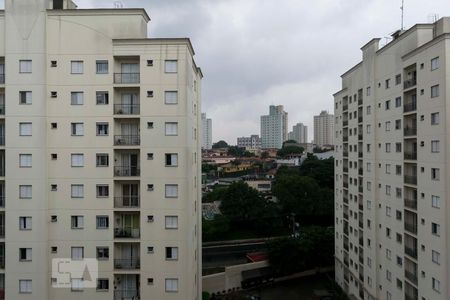 Vista de apartamento para alugar com 2 quartos, 48m² em Vila Firmiano Pinto, São Paulo