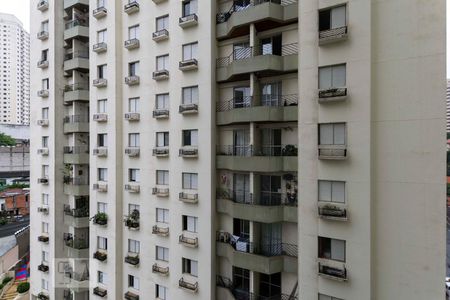 Vista de apartamento para alugar com 2 quartos, 54m² em Chácara Inglesa, São Paulo