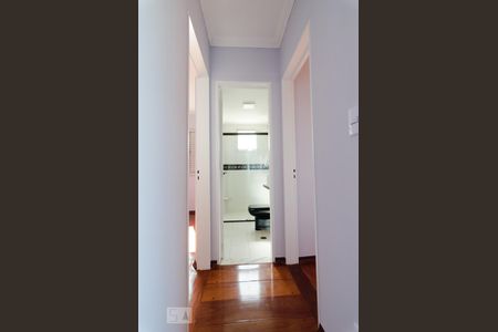 Corredor de apartamento para alugar com 2 quartos, 70m² em Bonfim, Campinas