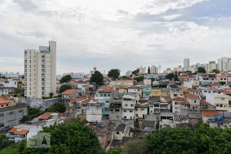 Vista de apartamento para alugar com 3 quartos, 74m² em Cambuci, São Paulo