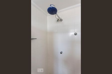 Banheiro de apartamento para alugar com 2 quartos, 63m² em Mirandópolis, São Paulo