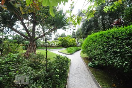 Apartamento para alugar com 189m², 4 quartos e 3 vagasjardim