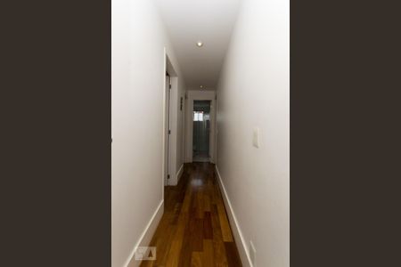 Corredor de apartamento para alugar com 3 quartos, 100m² em Vila Ipojuca, São Paulo
