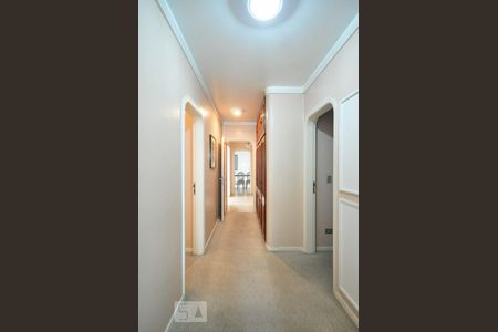 corredor de apartamento para alugar com 3 quartos, 240m² em Morumbi, São Paulo