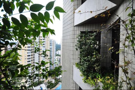 Apartamento à venda com 286m², 4 quartos e 4 vagasvista da suíte 3