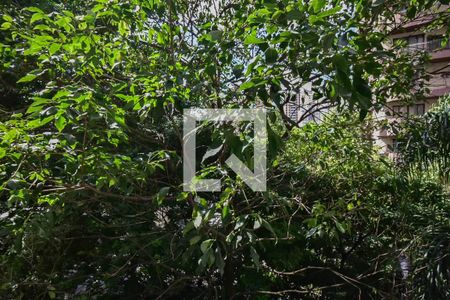 Apartamento para alugar com 70m², 3 quartos e 1 vagaVista do Quarto 1