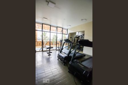 Academia de apartamento para alugar com 1 quarto, 54m² em Pinheiros, São Paulo