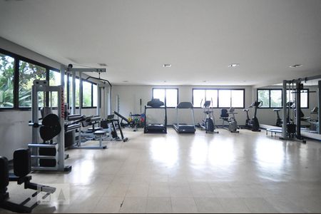 Apartamento para alugar com 234m², 3 quartos e 4 vagasacademia