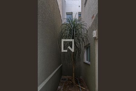 jardim de inverno_4 de casa para alugar com 3 quartos, 260m² em Bosque da Saúde, São Paulo