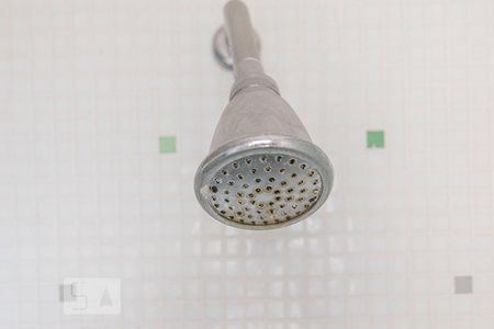 Apartamento à venda com 144m², 3 quartos e 2 vagasDucha